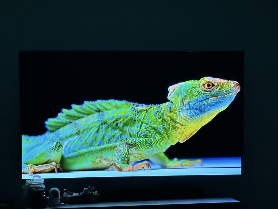 TV LG OLED 65" 4K 100Hz OLED65BX3LB bez wypaleń