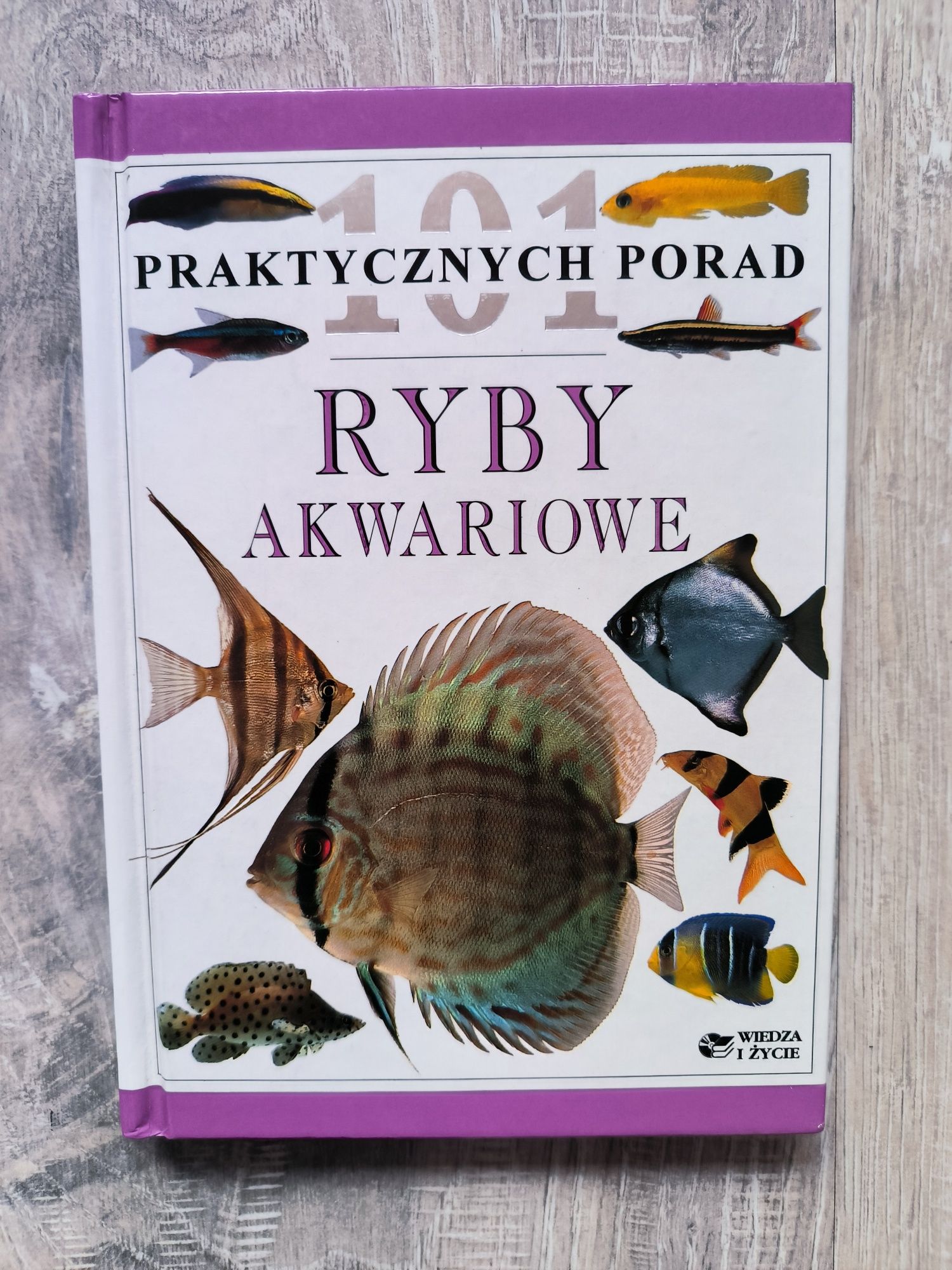 Ryby akwariowe 101 praktycznych porad