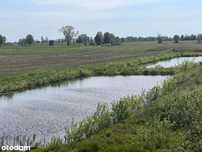 Działki nad Stawami