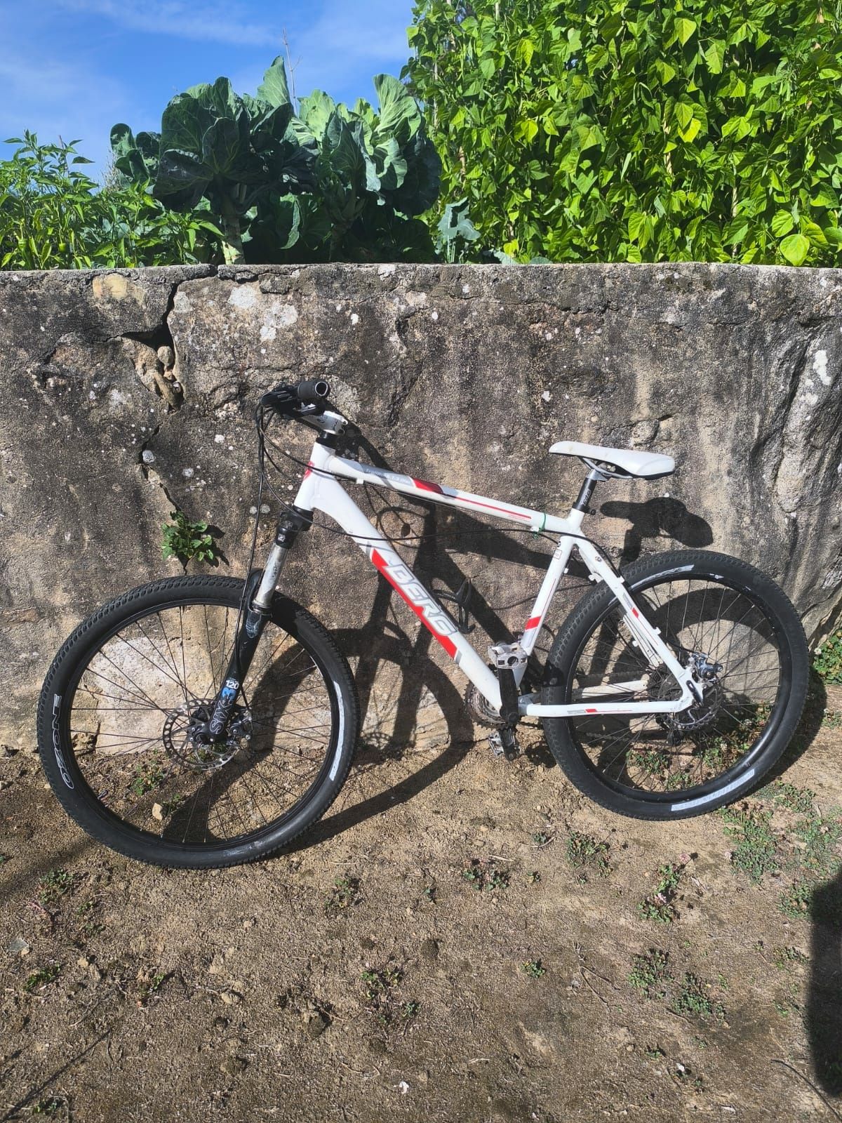 Bicicleta Berg Trailrock