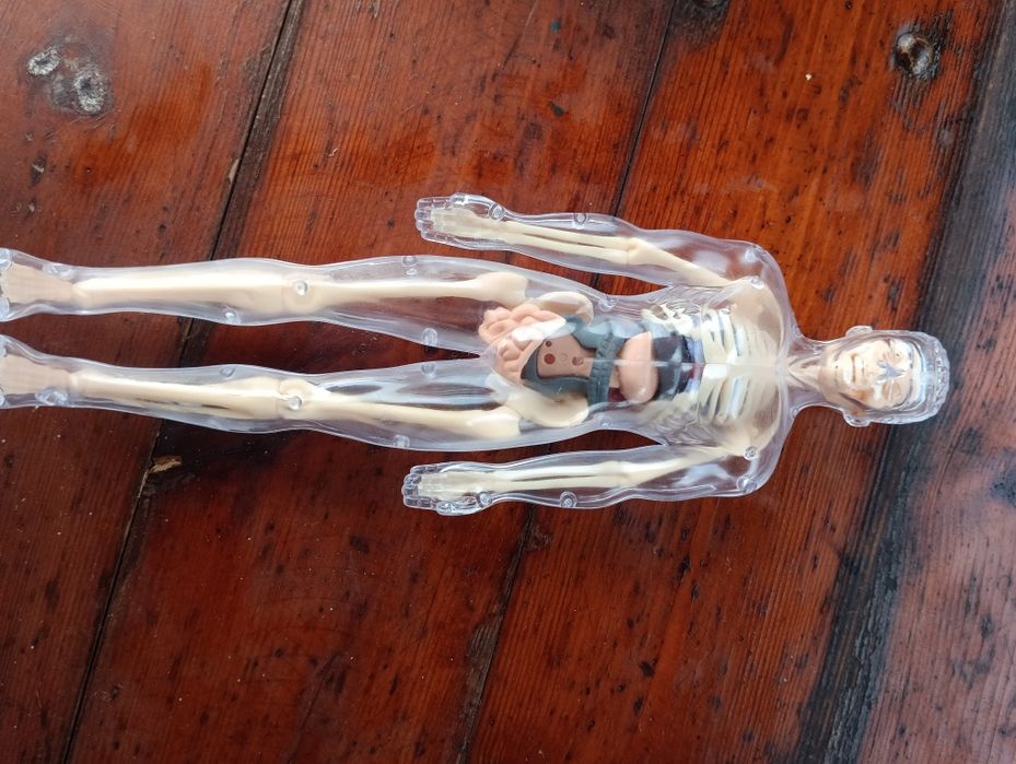 Перший великий конструктор. Человек.