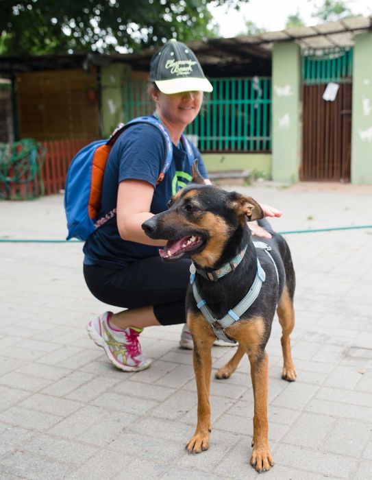 Sunia do adopcji -Mówka (nie Mrówka)