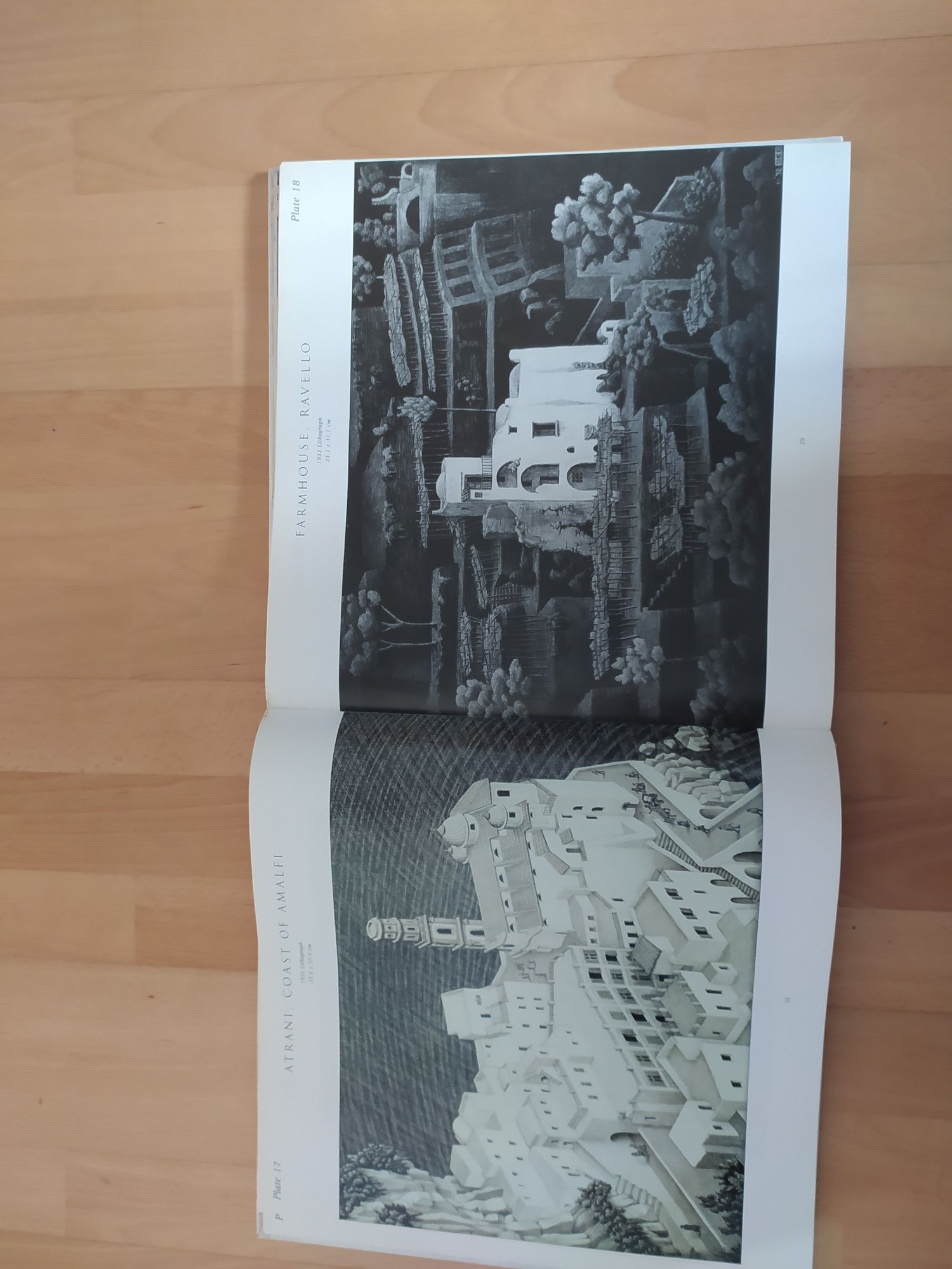 Livro ilustrado MC Escher
