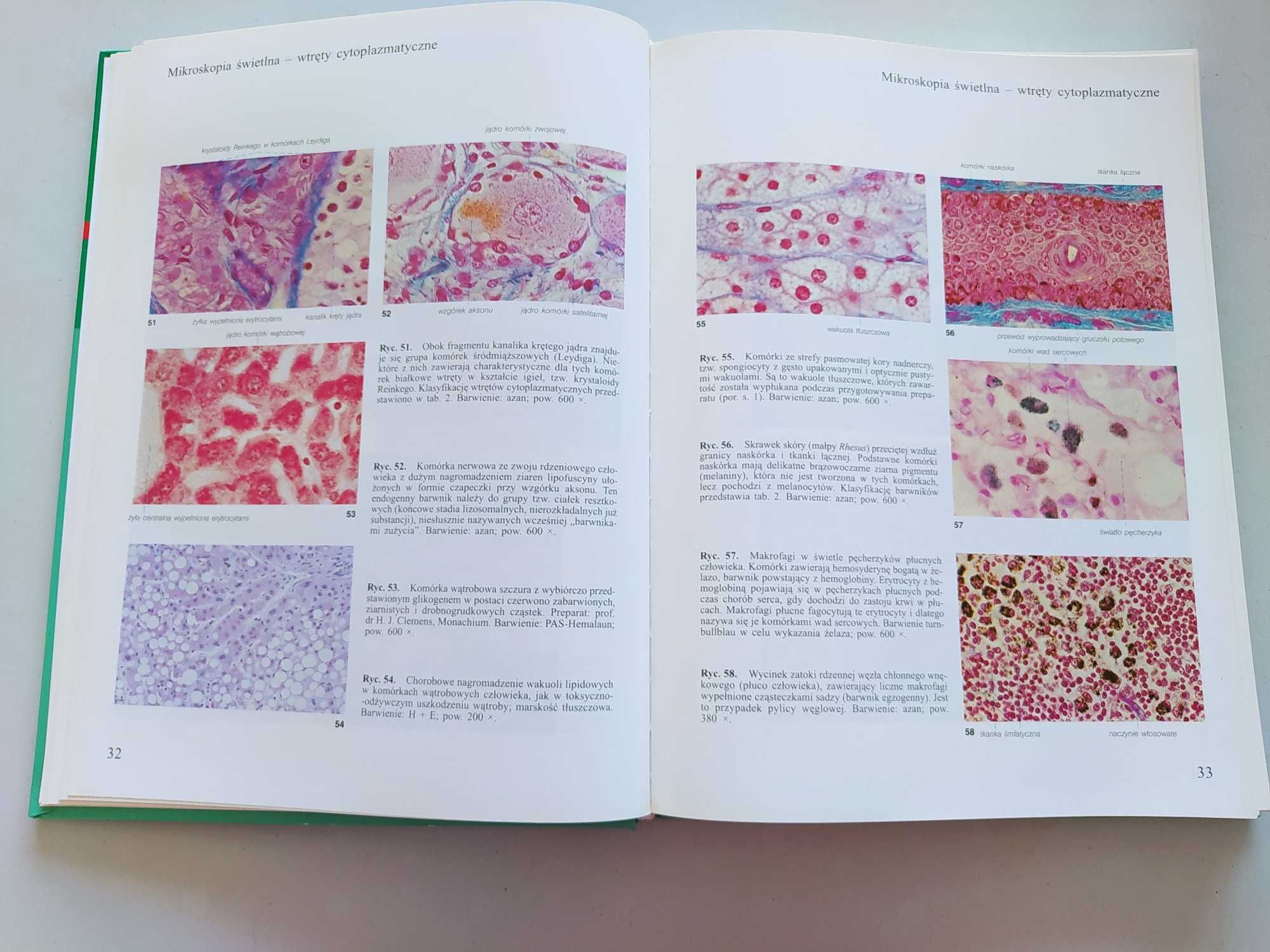 Atlas histologii, Sobotta, histologia, cytologia