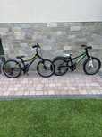 Rowery Unibike Pilot 20