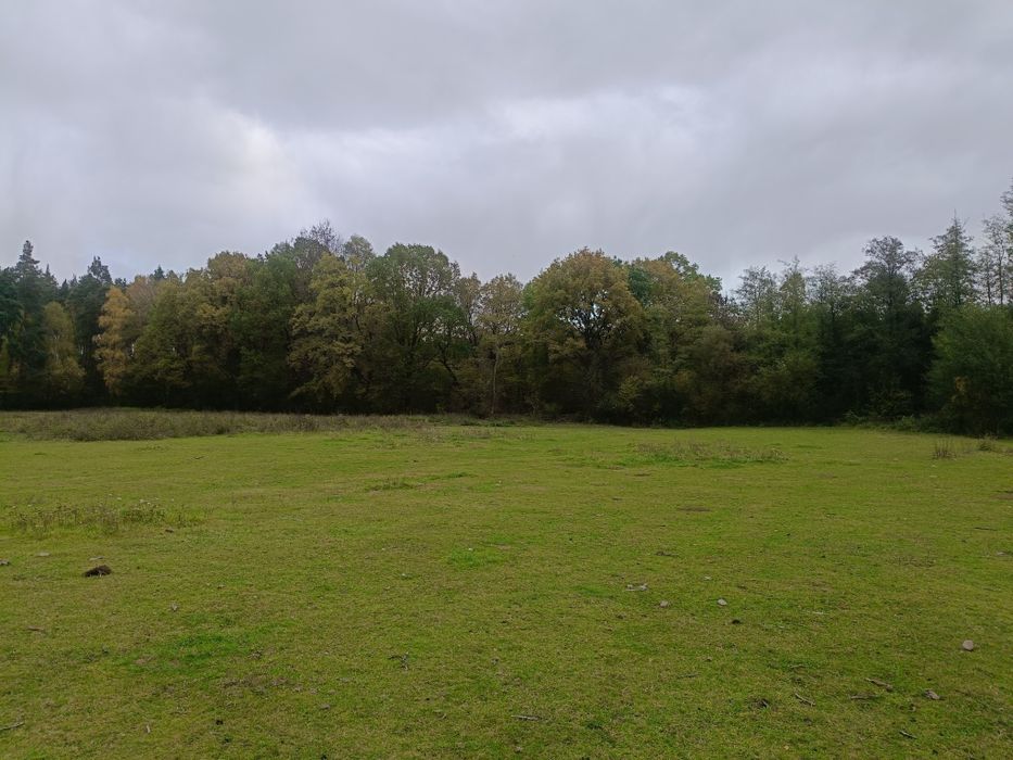 Sprzedam działkę po 0,5 ha