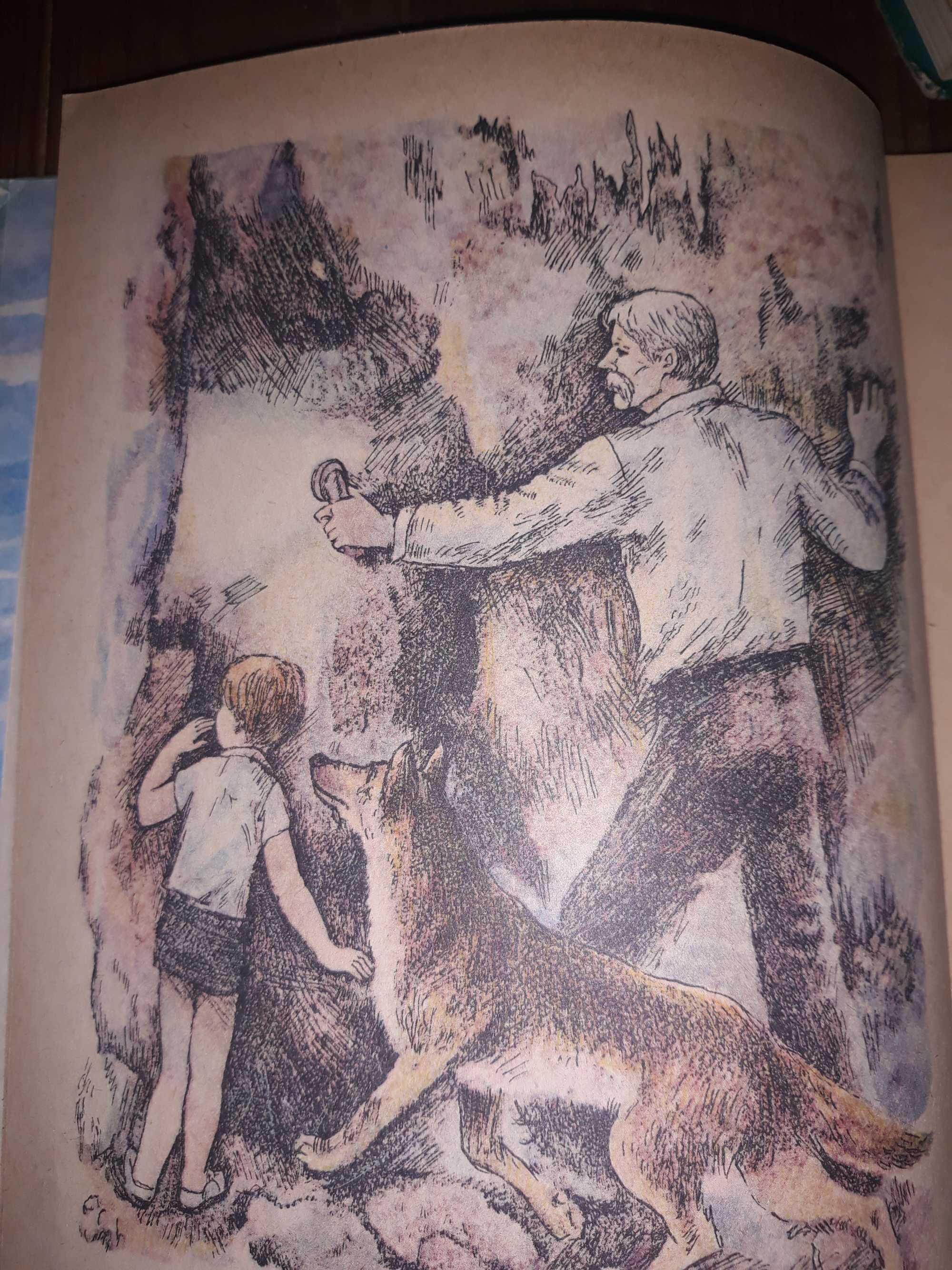 Продам,книгу там, де живе синя ластівка.
