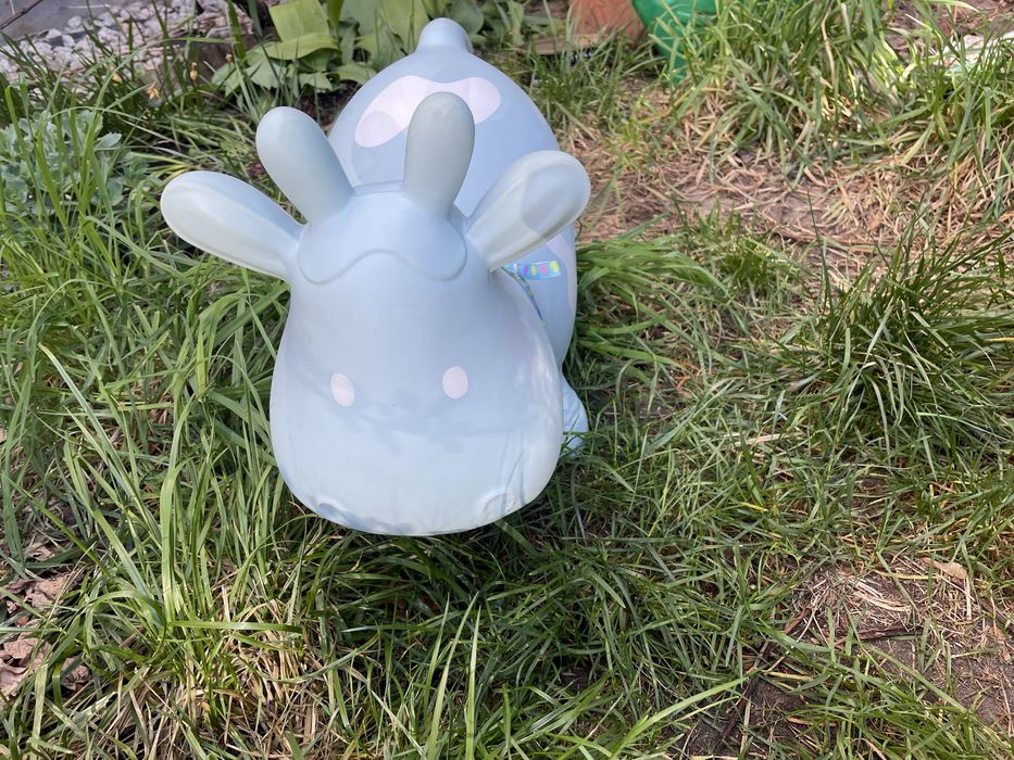 Skoczek Krówka tootiny