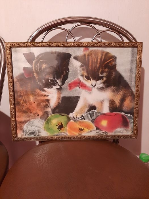 Obraz z kotkami PRL