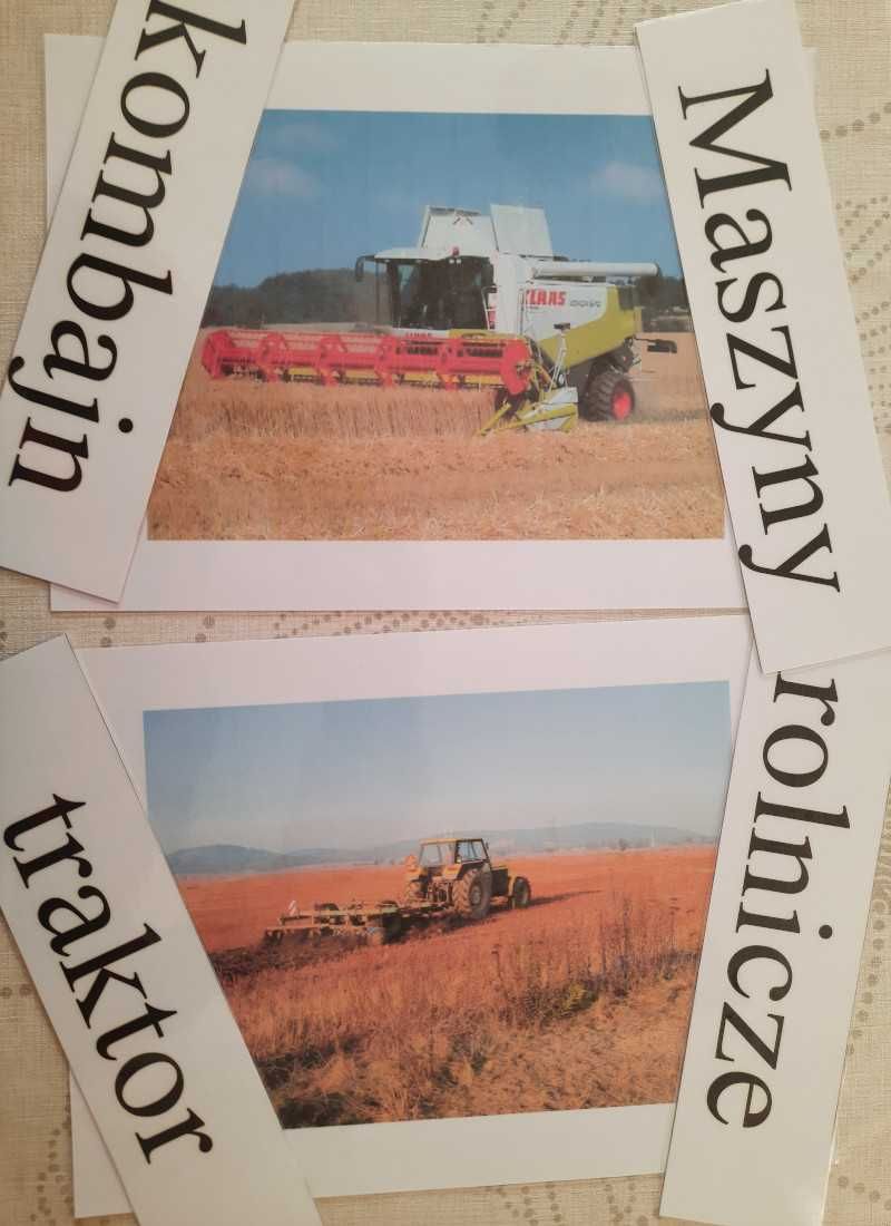 Pakiet ilustracji A 4 w dużym segregatorze "Przedszkole"