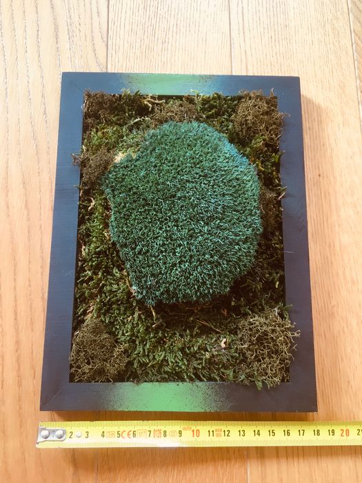 Artystyczny, sztuczny mech w ramce. 19x25 cm.