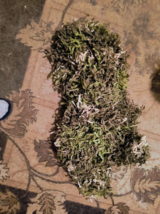 Кикимора накидка