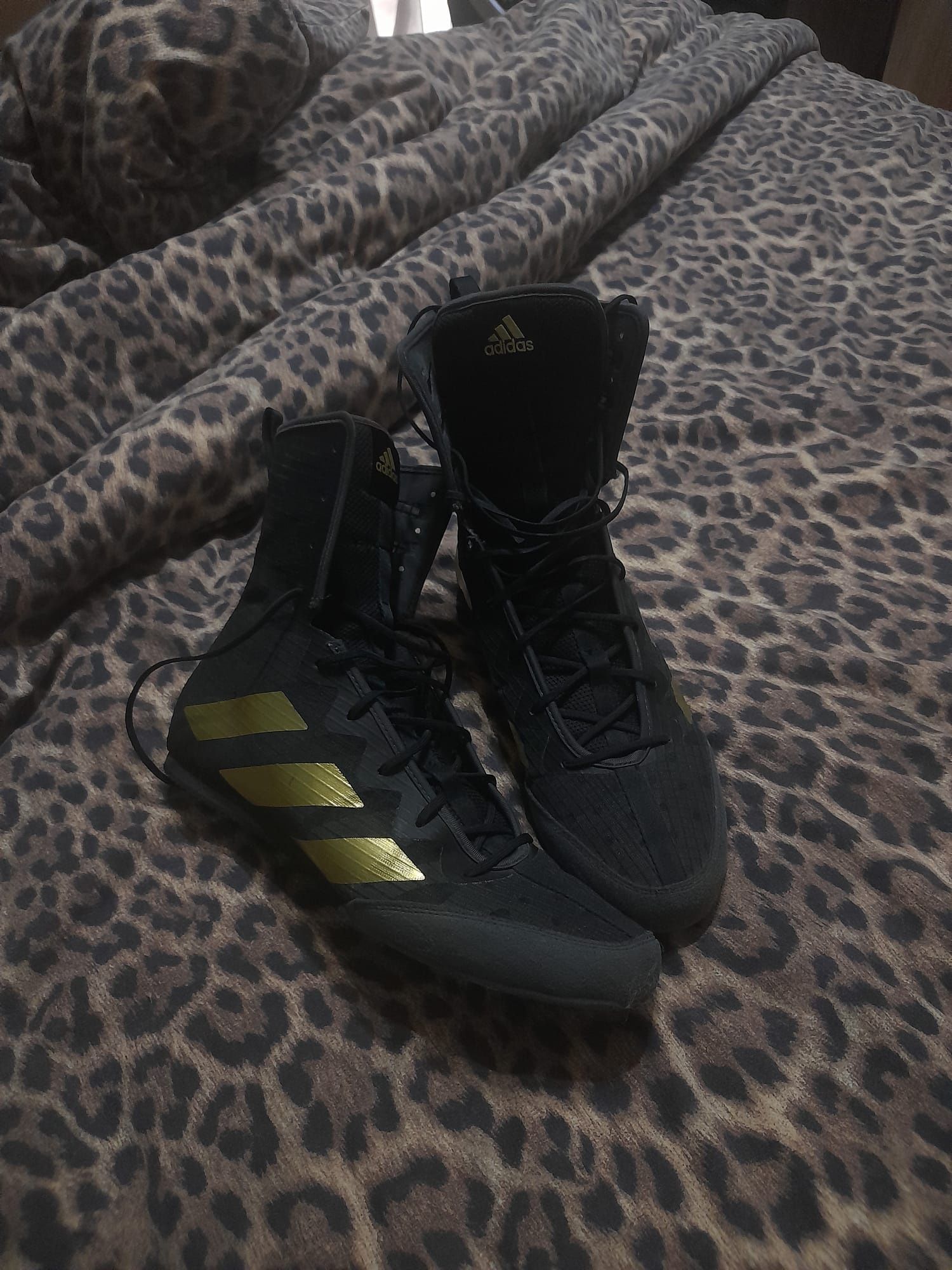 Sapatilha de boxe Adidas hog 4