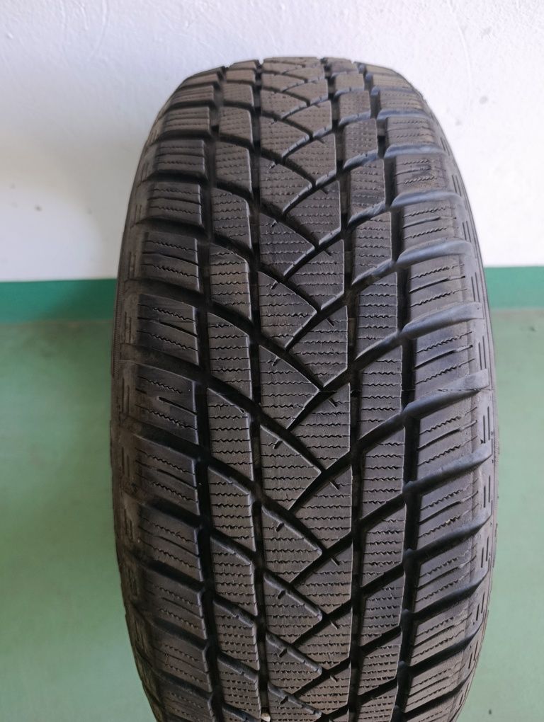 Opony zimowe Winter Pro 2 195/65R15
