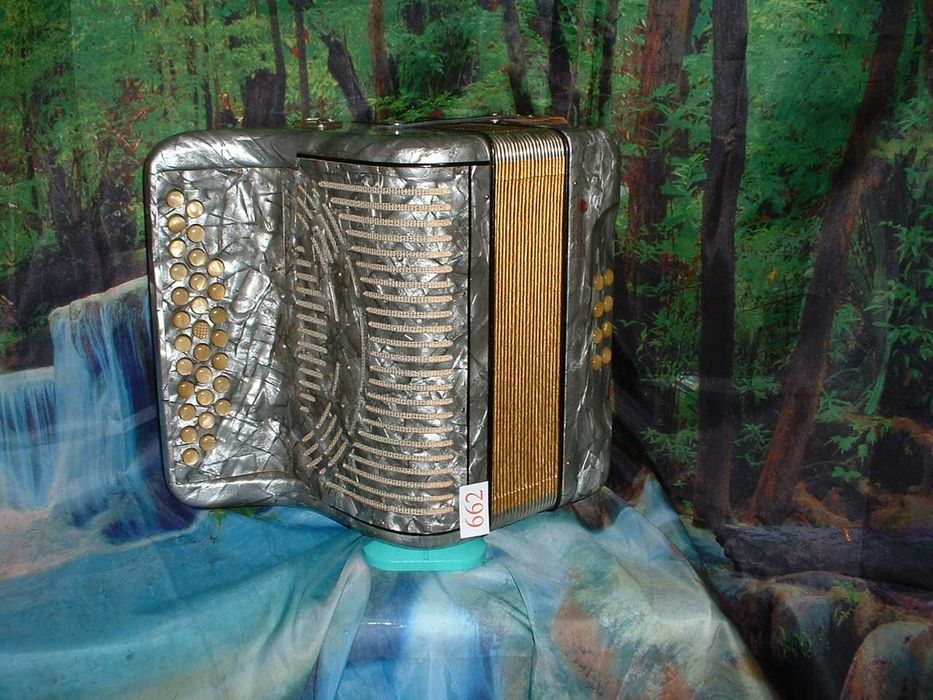 Concertina a venda n.662