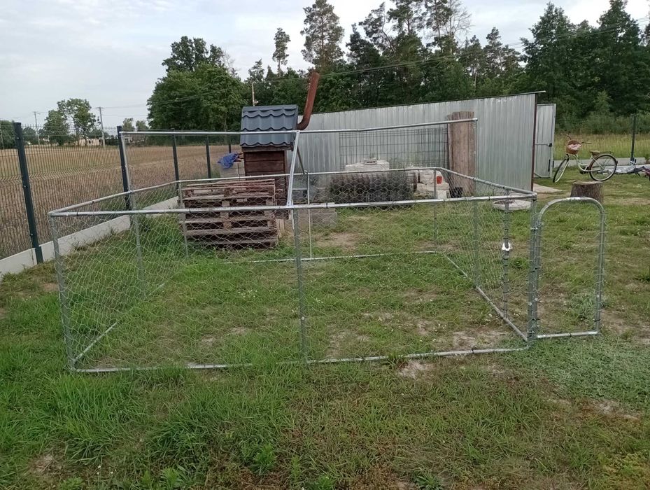 Kojec/klatka dla psa