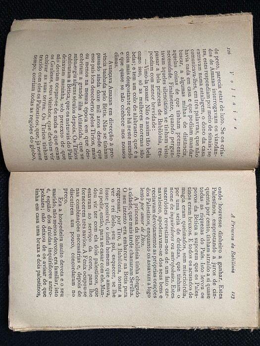 Voltaire, A princesa da babilónia