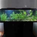 Pokrywa do akwarium 150x50[cm] z oświetleniem LED