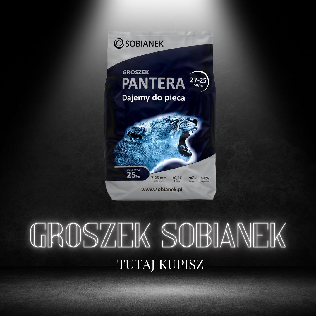 Groszek Sobianek PANTERA 27MJ /Pajęczno/ dostawa w cenie, HDS