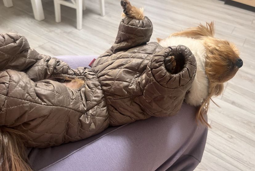 Комбинезон для собак одяг одежда животных