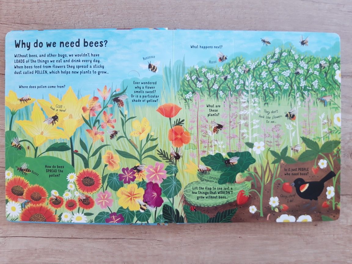 Look inside the world of bees Usborne