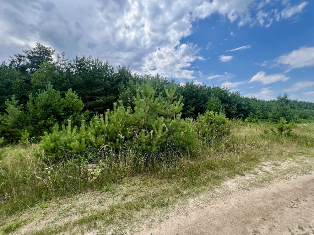 Продам 6 га Лісу, поруч озеро, електромережа