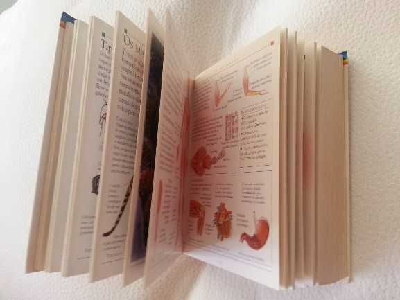 Enciclopédia colorida da “Texto Editores”