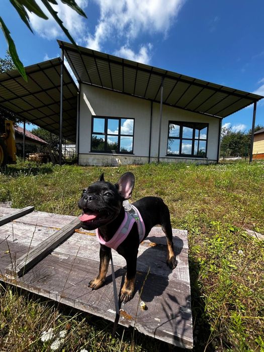 Будинок на 6 сотках біля лісу в с. Петрушки!