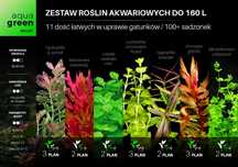 Zestaw roślin akwariowych - bardzo duży XL - 11+ gatunków + gratisy