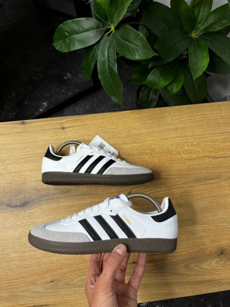 Кросівкм Adidas Samba