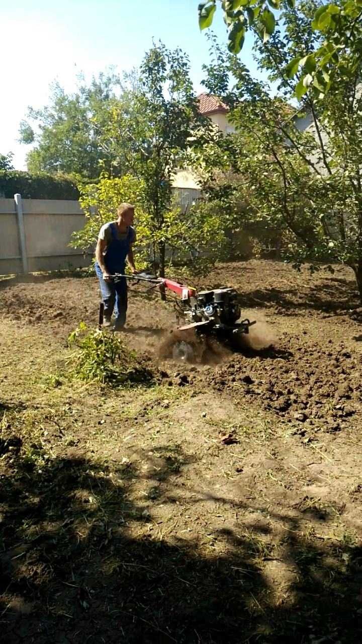 Расчистка уборка запущенных участков обрезка сада