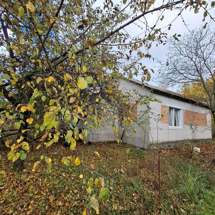 Будинок з великою територією