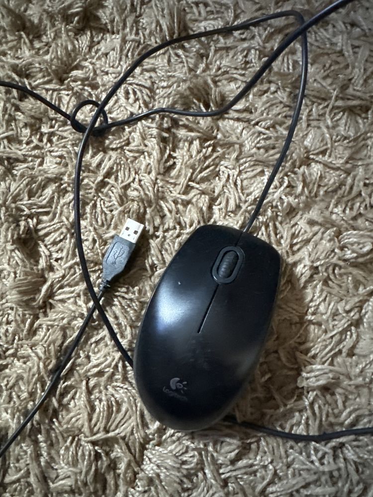 Myszka logitech B100