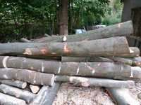 Drewno kominkowe opalowe buk