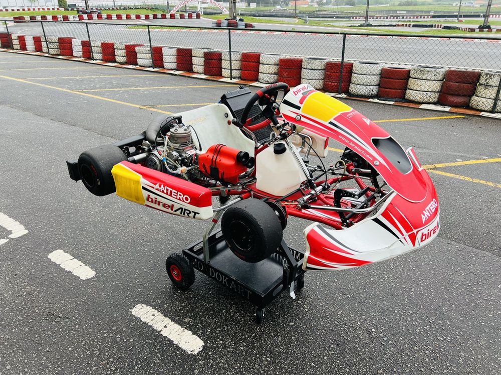 Kart Birel IAME Supershifter 175cc