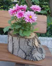 Декоративний Дерев'яний вазон/горшик/ пеньок для квітів