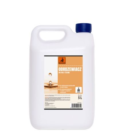 Dragon Odrdzewiacz do stali i żeliwa 5L