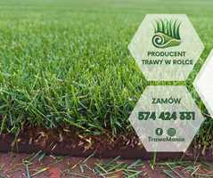 *** TrawoMania – trawa z rolki prosto od producenta ***