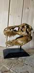 T rex skull impressa em 3d