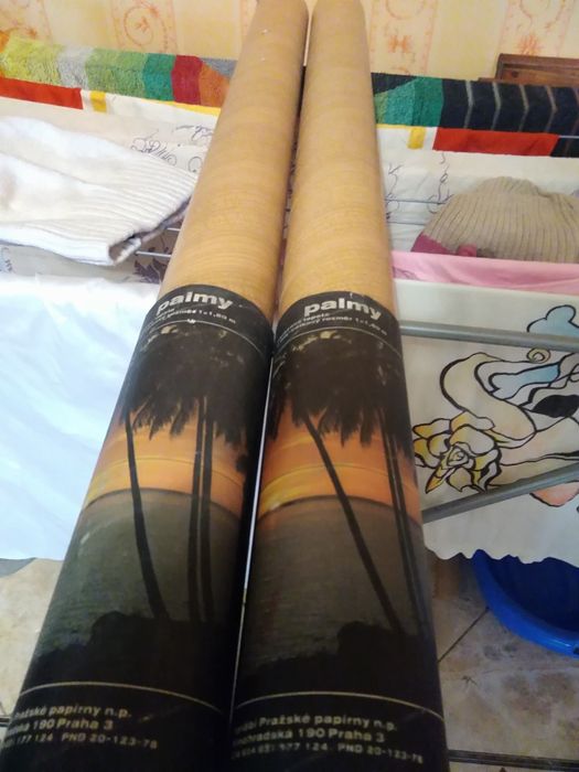 Фото обои пальма.