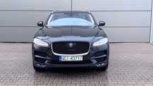 Jaguar F-Pace Piękny Kotek