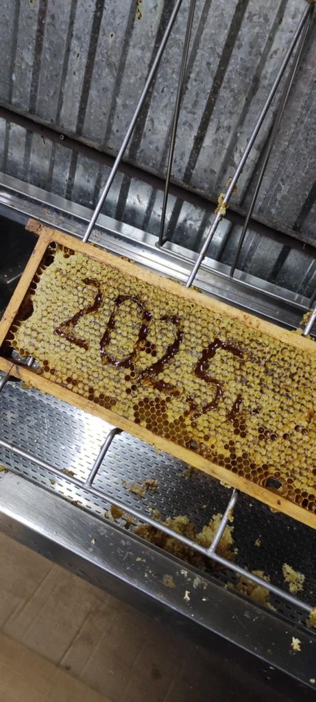 Miód z terenów leśnych z własnej pasieki 0,9l  możliwość wysyłki