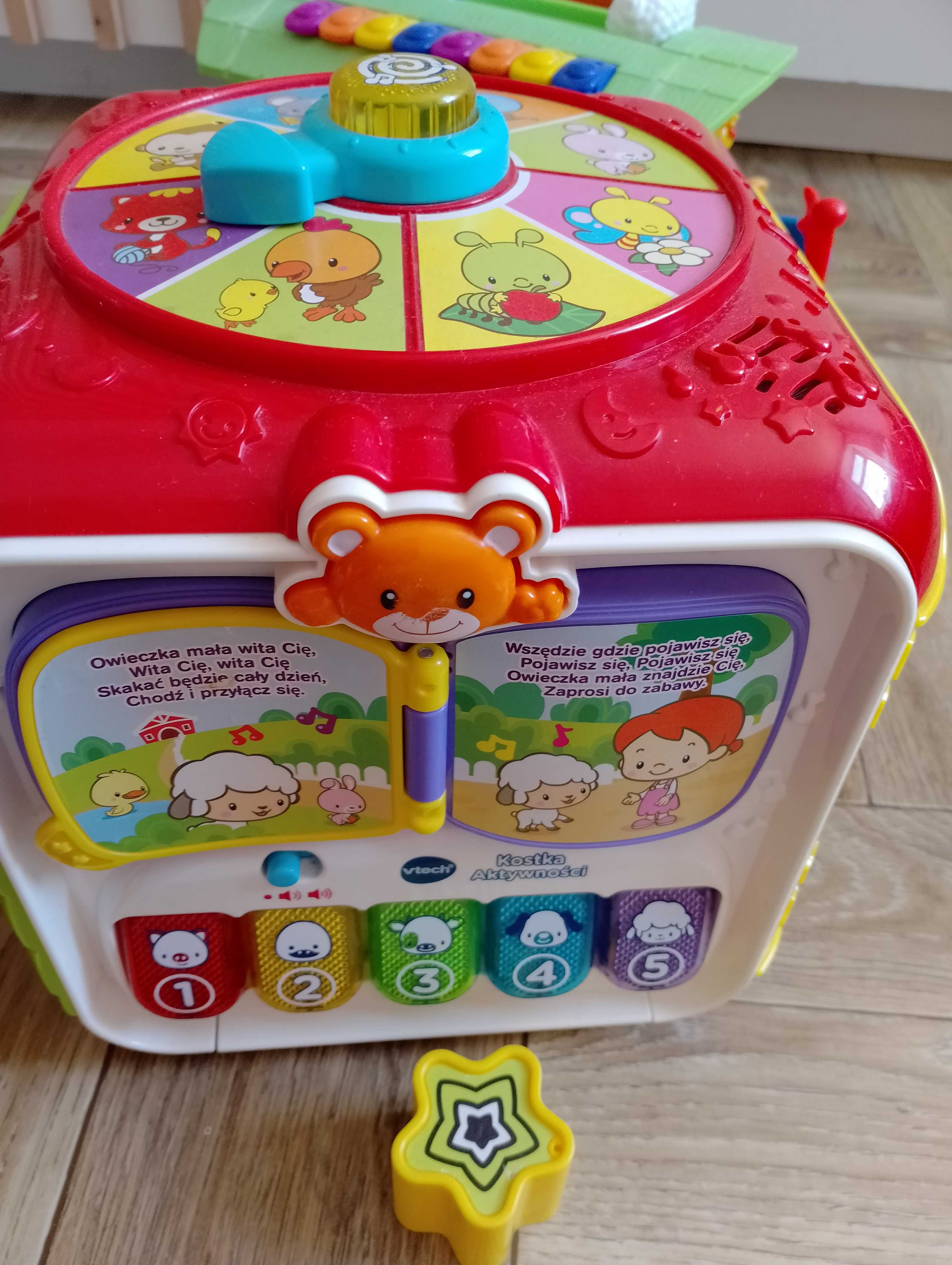 Arka noego/ Kostka edukacyjna zestaw
