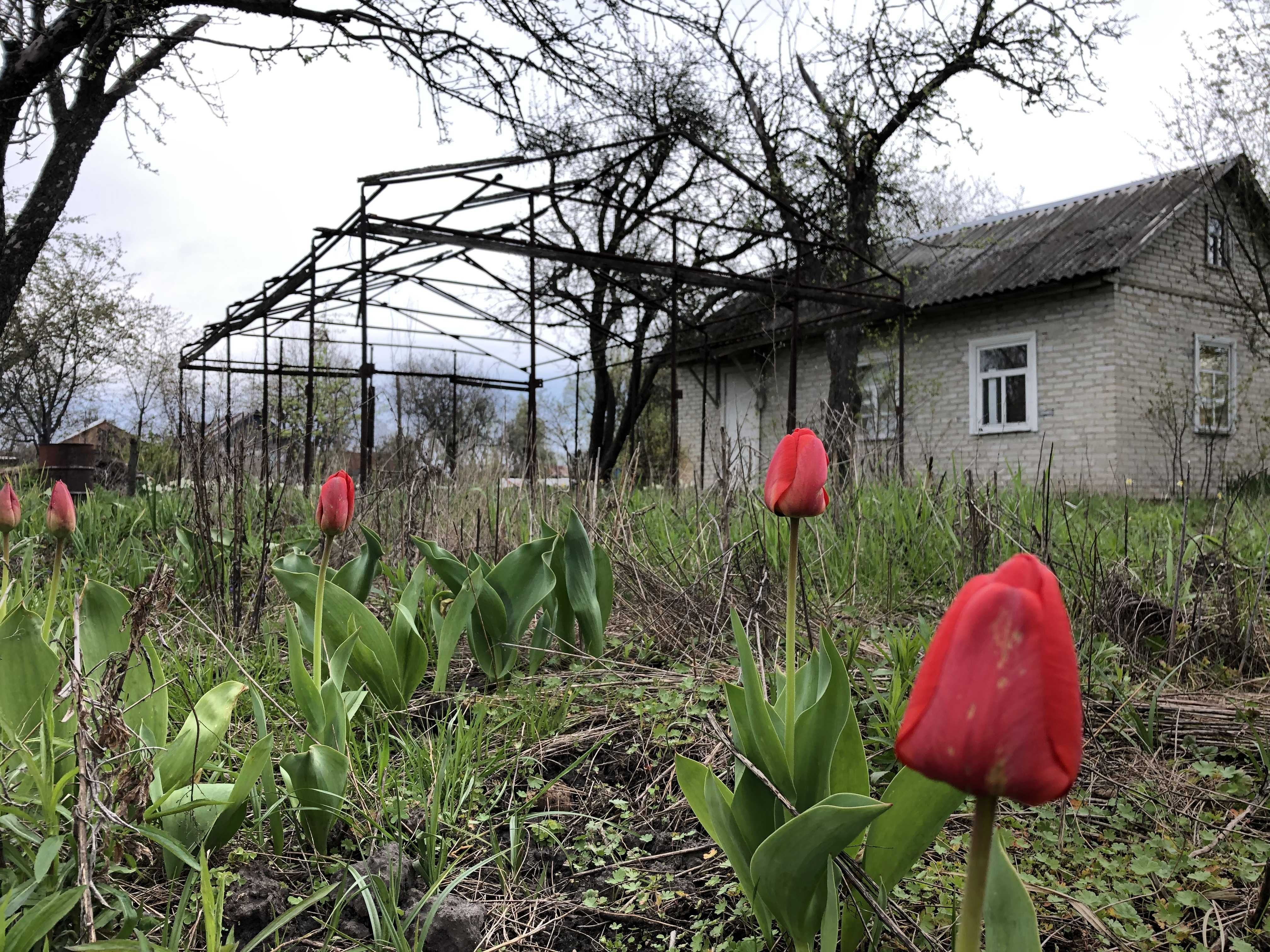 Садова ділянка з будинком