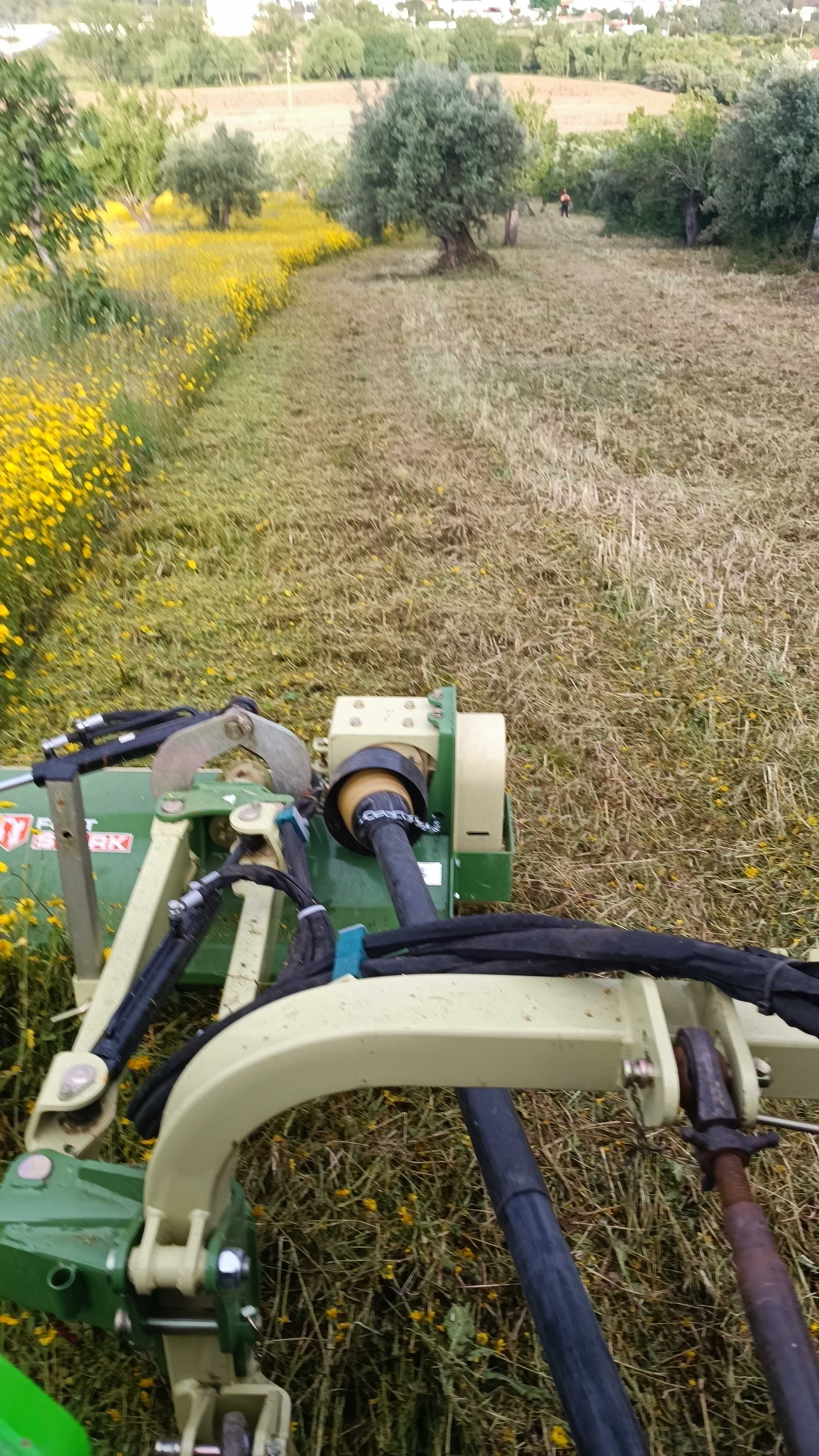 Limpeza e manutenção de terrenos e jardins