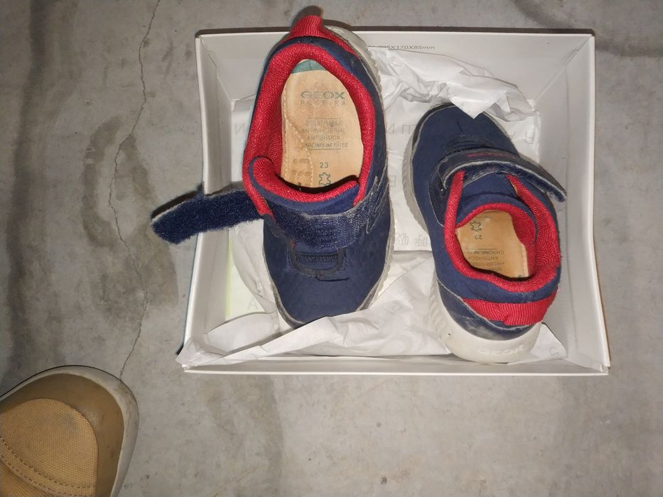 Sapatilhas de Bebé Geox tamanho 24