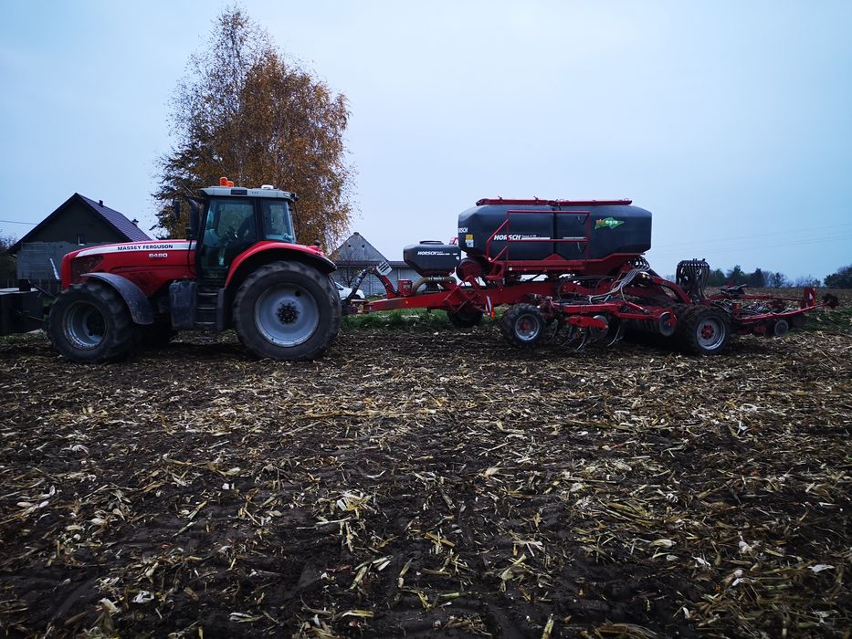 Siew zbóż  pasowy Strip-Till horsch FOCUS