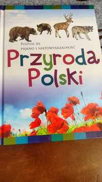 Przyroda polski poznaj jej piękno i niepowtarzalność