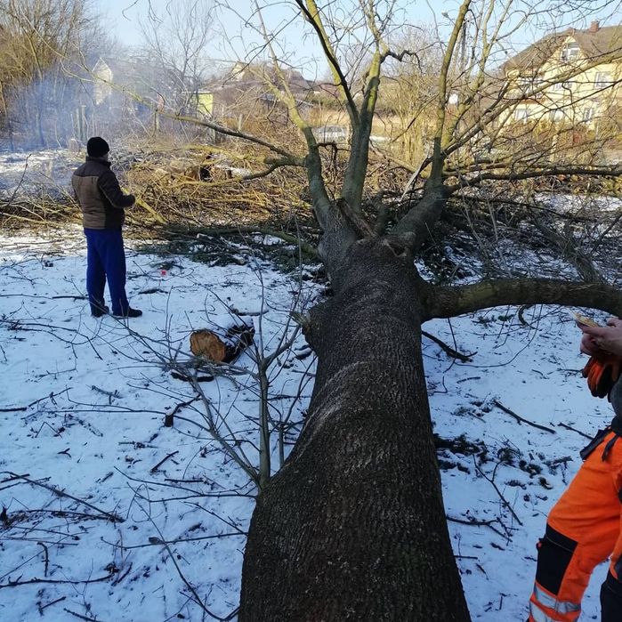 wycinka podcinka drzew Trudnych -malowanie dachów -mulczer