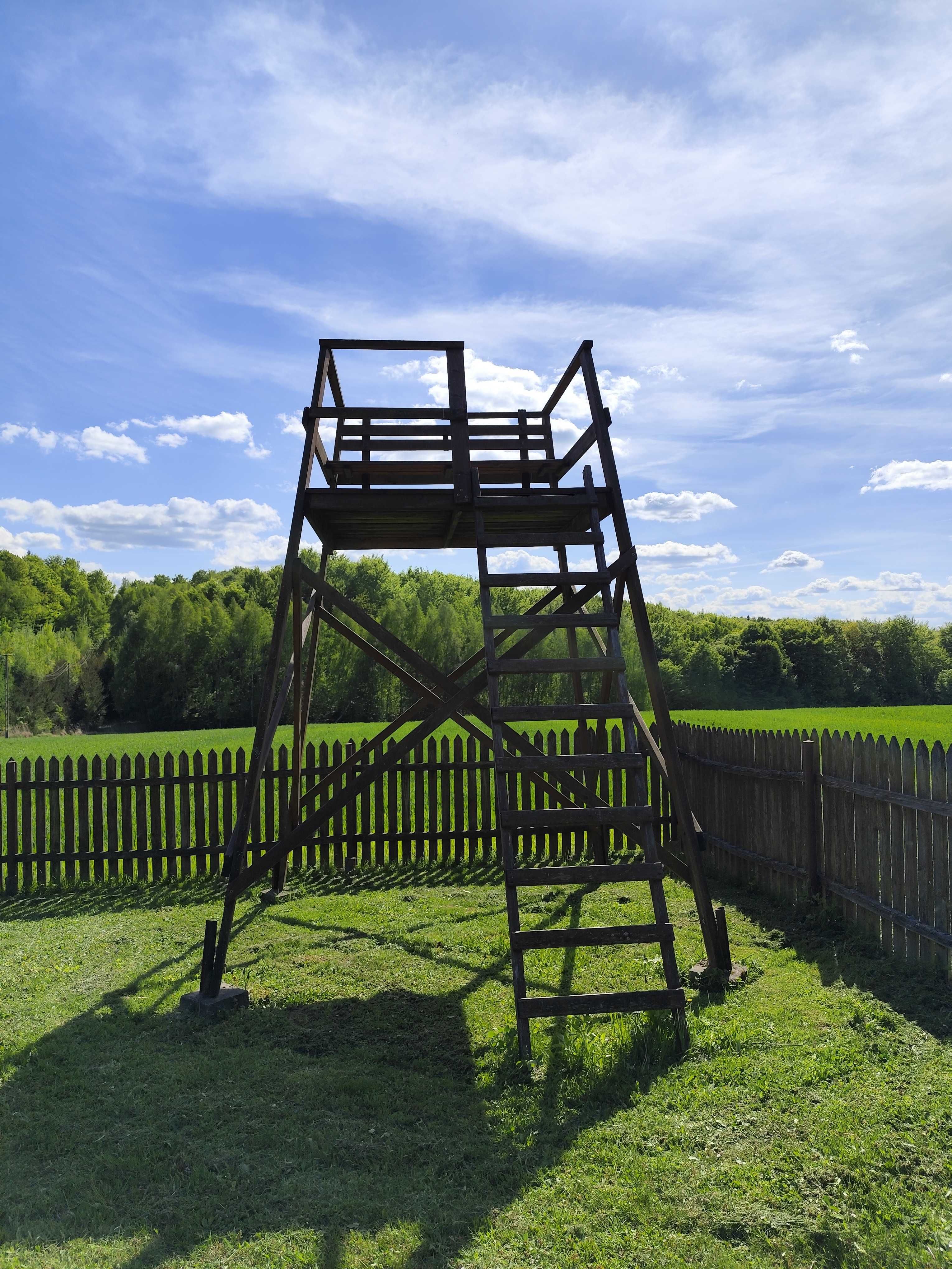 Domek przy lesie, Zaburze